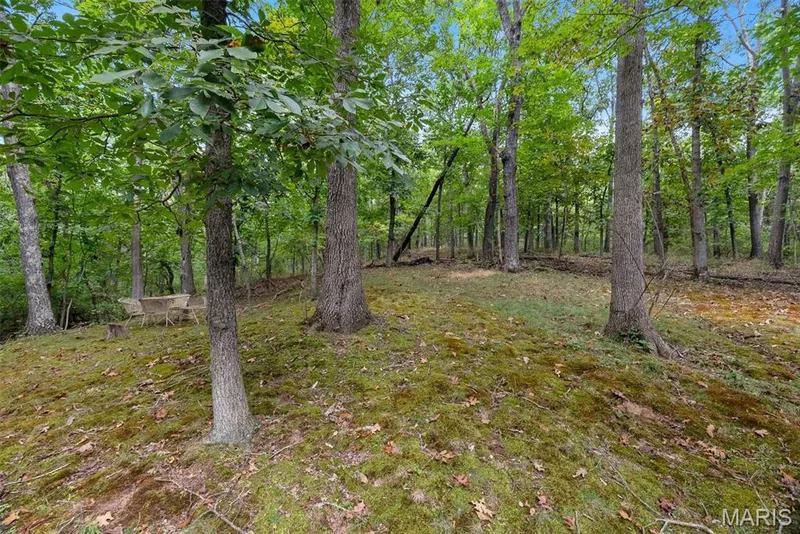 Lovely 3 acre lot — 29 Rockwood Forest Valley, Wildwood, MO 63025