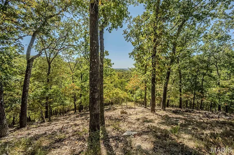 1302 Bear Canyon Road, Wildwood, MO 63021 — listing photo 3 of 53