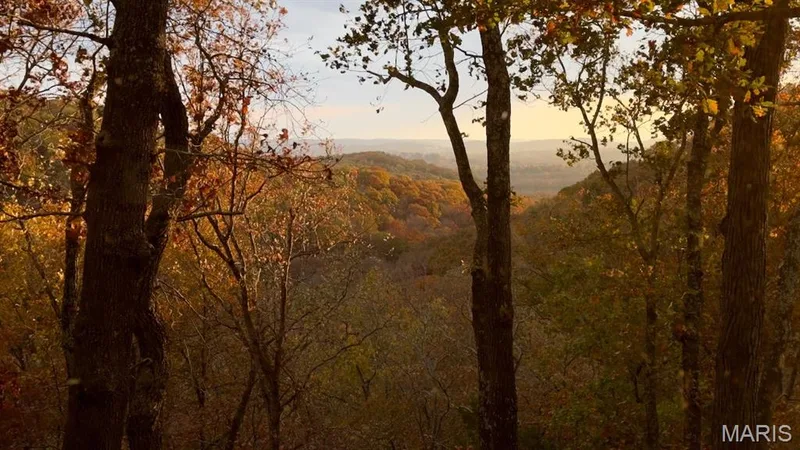 Autumn...brilliant fall foilage — 1302 Bear Canyon Road, Wildwood, MO 63021
