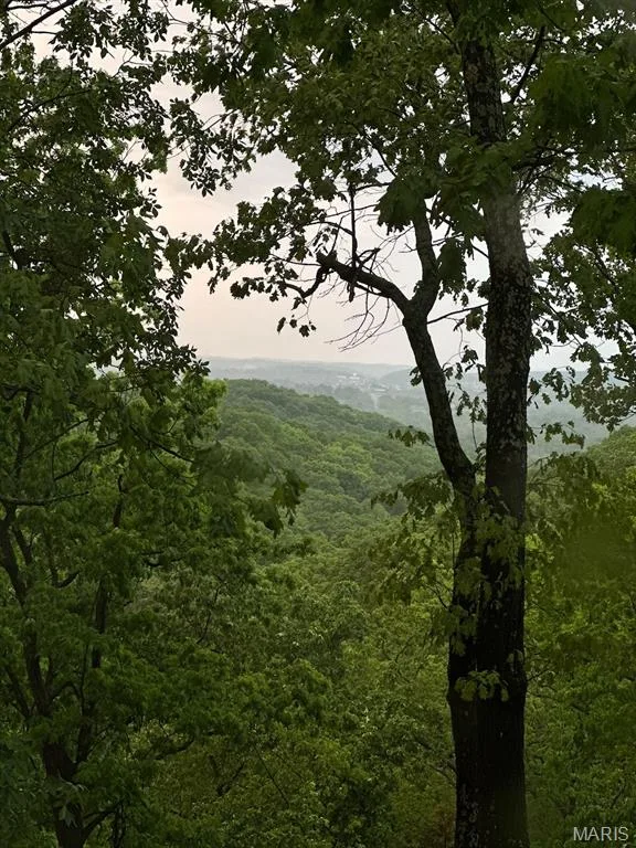 Masterpiece of nature — 1302 Bear Canyon Road, Wildwood, MO 63021