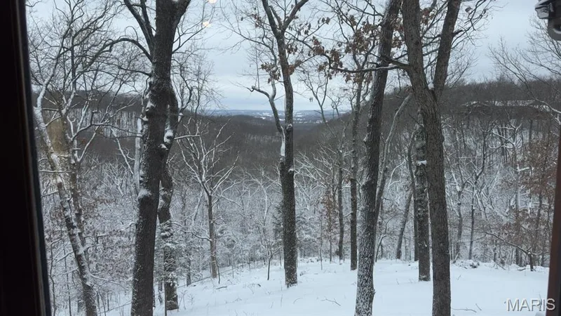 Winter — 1302 Bear Canyon Road, Wildwood, MO 63021