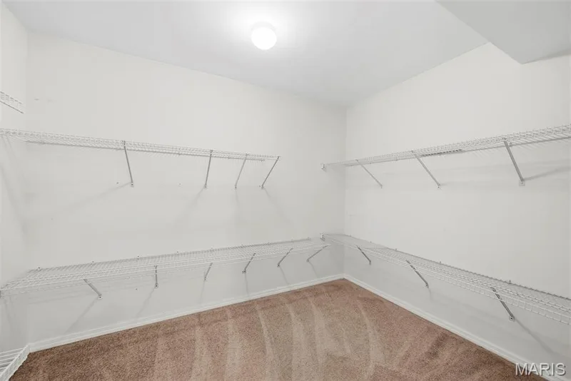 26 Briarwick Trail, St Peters, MO 63376 — listing photo 49 of 80