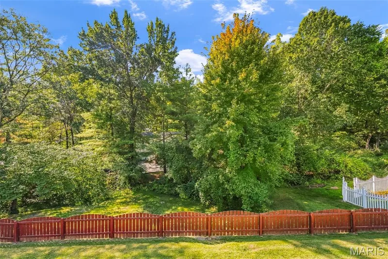 26 Briarwick Trail, St Peters, MO 63376 — listing photo 59 of 80