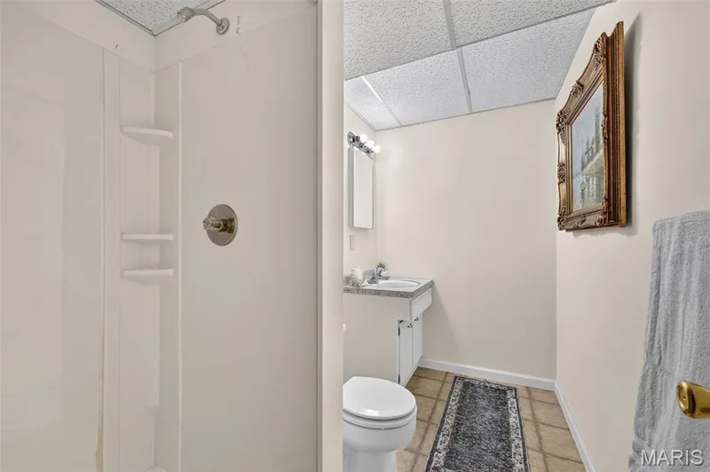 33 Weldon Spring Heights Drive, Weldon Spring, MO 63304 — listing photo 48 of 53