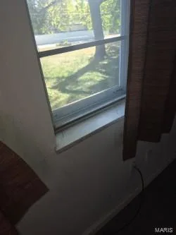 Double hung windows with MARBLE window sill. — 304 W Pitman Street, O'Fallon, MO 63366