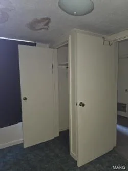 Bedroom ceiling light and carpet.  Window treatment stays. — 304 W Pitman Street, O'Fallon, MO 63366