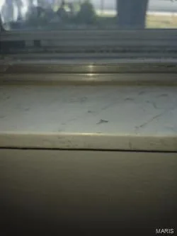 a good look at the marble window sill.... — 304 W Pitman Street, O'Fallon, MO 63366