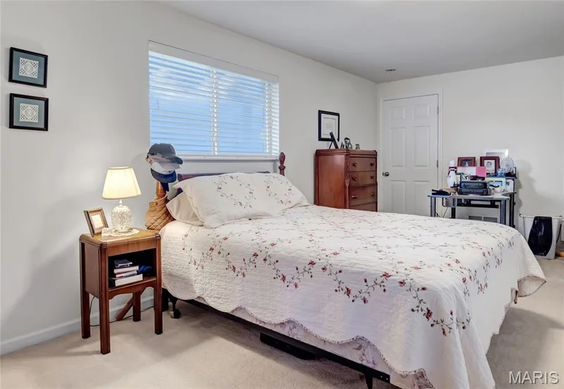 Lower level. Neutral-toned carpeted flooring, horizontal slat window blinds, and a solid-core six-panel interior door — 2061 Avalon Mist Circle, Dardenne Prairie, MO 63368