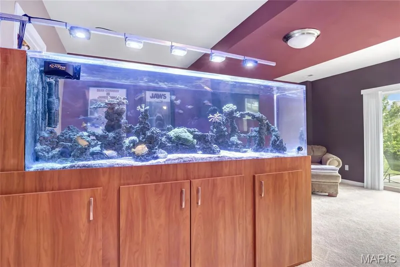 Built-in wood-finish cabinetry featuring an integrated aquarium, dual-tone wall paint, flush-mount ceiling lighting, and overhead track lighting — 2061 Avalon Mist Circle, Dardenne Prairie, MO 63368
