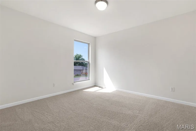 116 Cardinal Flower Drive, Wentzville, MO 63385 — listing photo 24 of 29