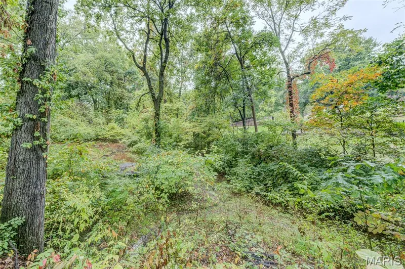 Natural Creek - Right side of the home — 533 Snipes Drive, St Charles, MO 63303