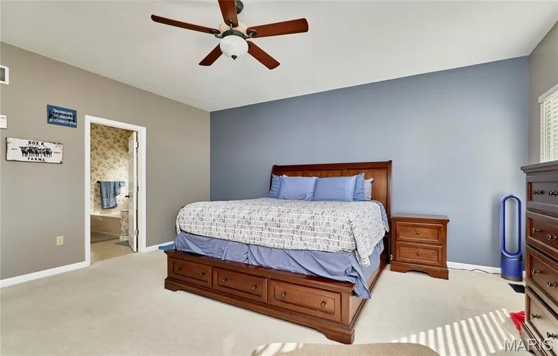 7428 Heathermoor Lane, Dardenne Prairie, MO 63368 — listing photo 20 of 48