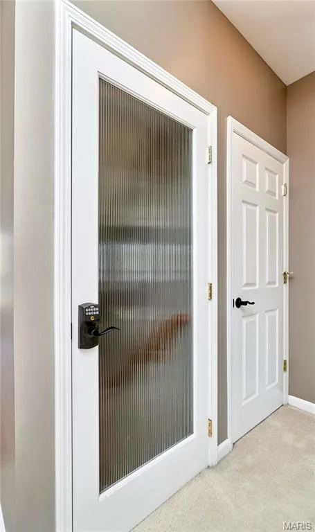 Door to lower level — 7428 Heathermoor Lane, Dardenne Prairie, MO 63368