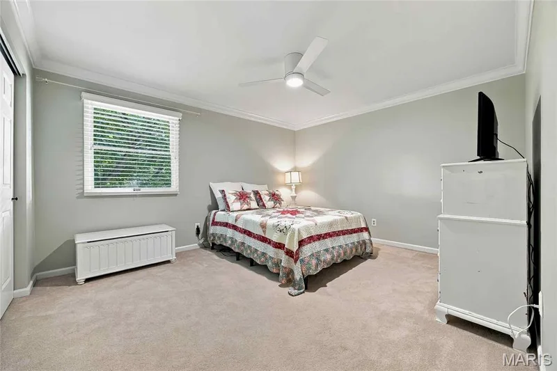 15610 Cedarmill Drive, Chesterfield, MO 63017 — listing photo 24 of 42