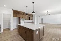 112 Cardinal Flower Drive, Wentzville, MO 63385 — listing photo 22 of 49