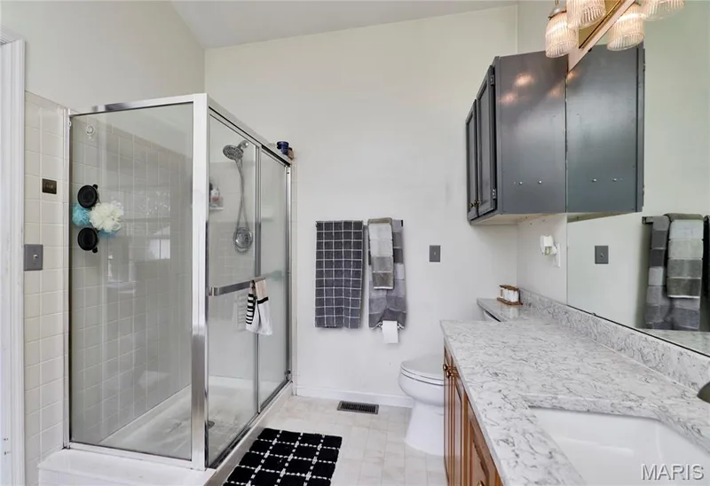 9 Percheron Place, St Peters, MO 63376 — listing photo 36 of 88