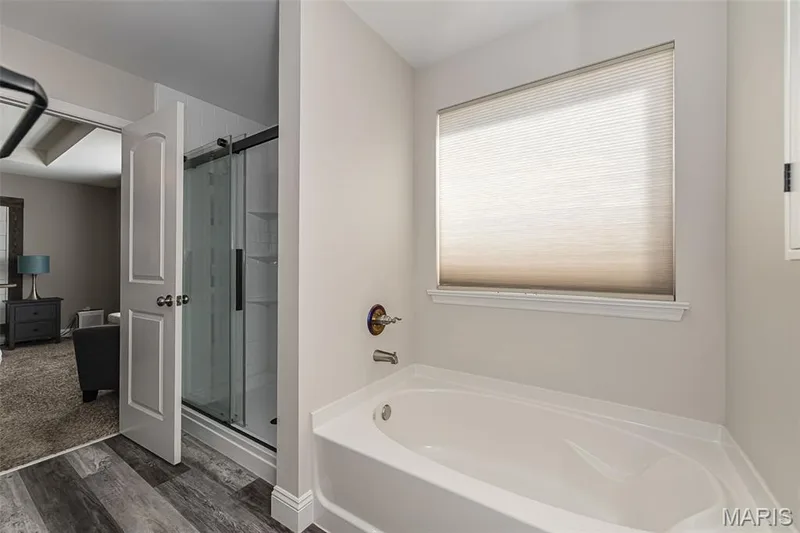 44 Birch Brook Court, O'Fallon, MO 63366 — listing photo 18 of 26