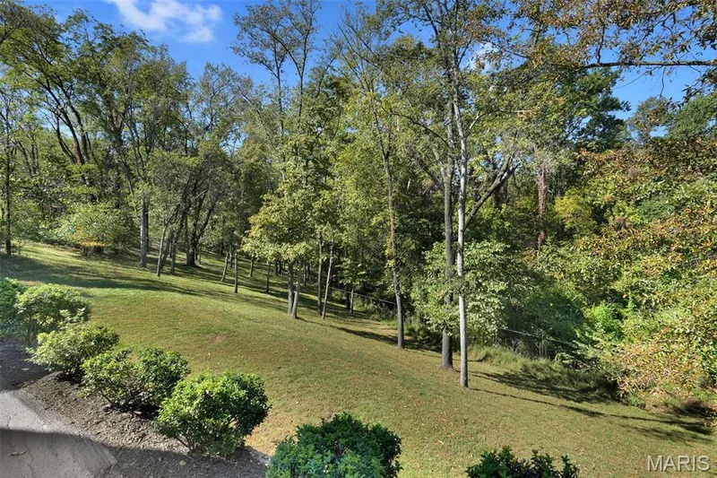 715 Madison Valley, Wildwood, MO 63005 — listing photo 77 of 81