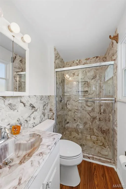 9 Pedrotti Lane, O'Fallon, MO 63366 — listing photo 27 of 71