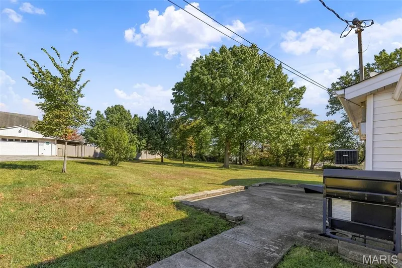 9 Pedrotti Lane, O'Fallon, MO 63366 — listing photo 59 of 71