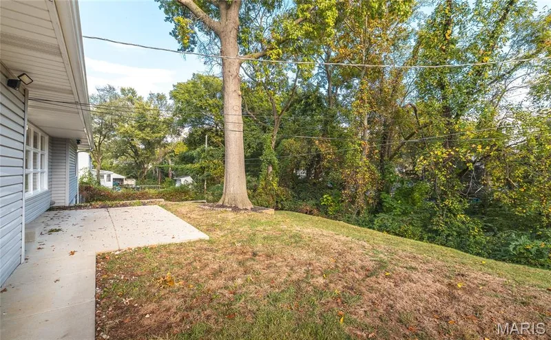 908 Barton Place, St Charles, MO 63301 — listing photo 38 of 43