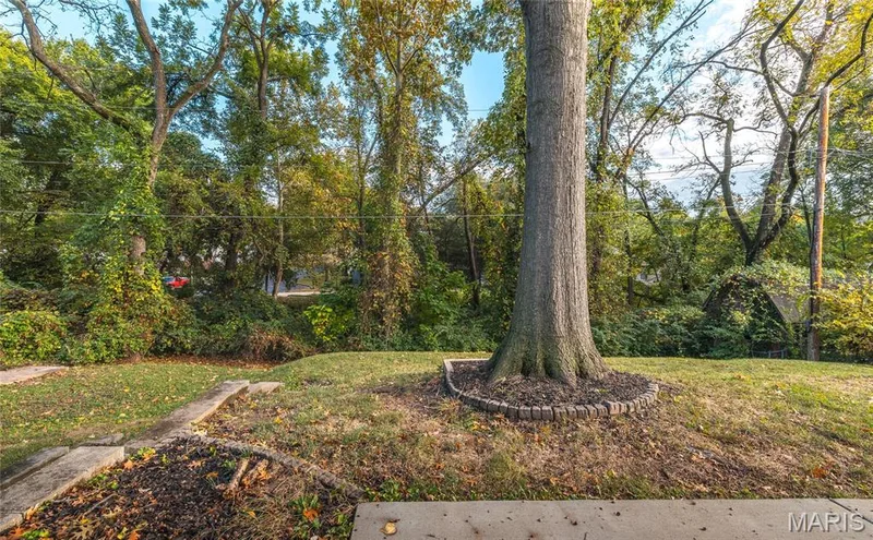 908 Barton Place, St Charles, MO 63301 — listing photo 40 of 43