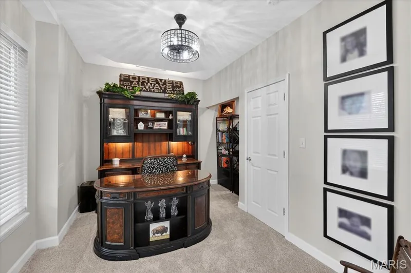 16547 Lancaster Estates Drive, Wildwood, MO 63040 — listing photo 42 of 51