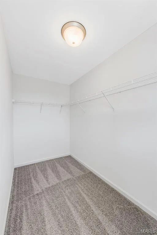 2994 Memphis Street, St Charles, MO 63301 — listing photo 21 of 45