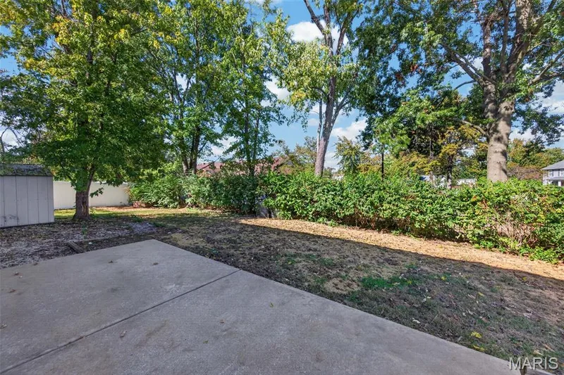 Patio space — 600 Turtle Creek Court, St Peters, MO 63376