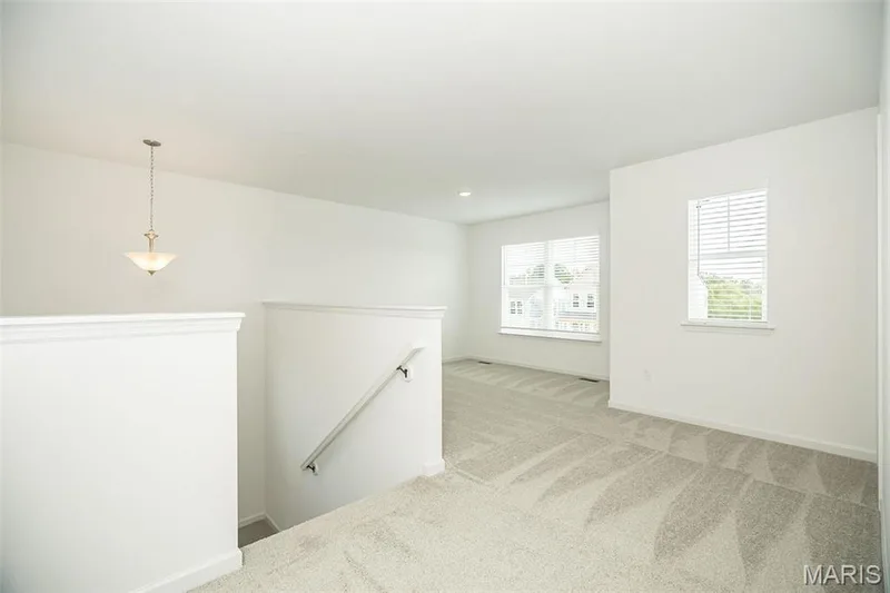 0 The-Ash (Estates at Huntleigh Ridge), Wentzville, MO 63385 — listing photo 22 of 31
