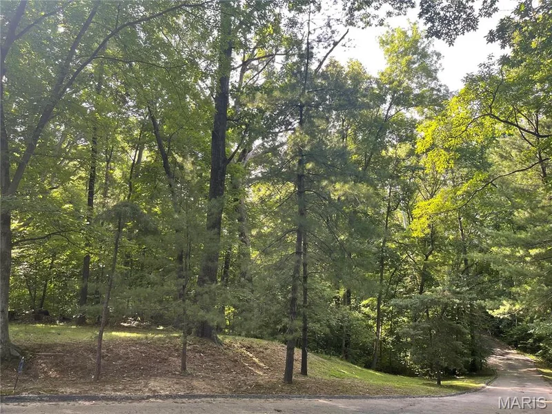 17421 Private Valley Lane, Chesterfield, MO 63005 — listing photo 7 of 8